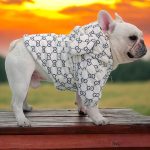 www.frenchie.shop-Premium-French-Bulldog-Bear-Hoodies-1.jpg