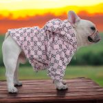 www.frenchie.shop-Premium-French-Bulldog-Bear-Hoodies-1.jpg