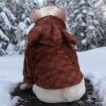www.frenchie.shop-Premium-French-Bulldog-Bear-Hoodies-1.jpg
