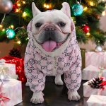 www.frenchie.shop-Premium-French-Bulldog-Bear-Hoodies-1.jpg