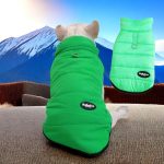 www.frenchie.shop-Premium-Frenchie-Winter-Jacket-Comfortable-Vest-with-D-Ring-for-Safe-Traction.jpg
