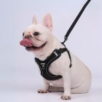 www.frenchie.shop-Pupure_Explosion-Proof-No-Pull-Frenchie-Harness.jpg