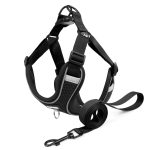 www.frenchie.shop-Pupure_Explosion-Proof-No-Pull-Frenchie-Harness.jpg