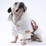 www.frenchie.shop-SnugPaw-Frenchie-Raincoat-Pet-Winter-Jacket-1.jpg