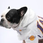 www.frenchie.shop-SnugPaw-Frenchie-Raincoat-Pet-Winter-Jacket-1.jpg
