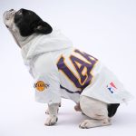 www.frenchie.shop-SnugPaw-Frenchie-Raincoat-Pet-Winter-Jacket-1.jpg