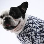 www.frenchie.shop-SnugStyle-Frenchie-Fashion-Winter-Sweater-front.jpg