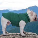 www.frenchie.shop-The-Dog-Face-Frenchi-Jacket-Premium-Fleece-for-Cold-Weather_51b3a548-310e-4367-a0e3-5fd2ce36db89.jpg
