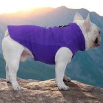 www.frenchie.shop-The-Dog-Face-Frenchi-Jacket-Premium-Fleece-for-Cold-Weather_51b3a548-310e-4367-a0e3-5fd2ce36db89.jpg